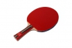 Raquette de Ping-Pong - DoubleFish 