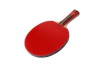 Raquette de Ping-Pong - DoubleFish 1