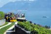 Tour en train & dégustation de vin - Vignoble de Lavaux, pour 2 personnes 