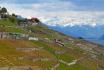 Tour en train & dégustation de vin - Vignoble de Lavaux, pour 2 personnes 2