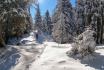 Bivouac hivernal & Raquettes - 1 nuit en montagne pour 1 personne 6