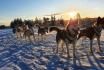 Chiens de traineau  - Avec husky pour 2 personnes 3