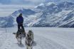 Chiens de traineau  - Avec husky pour 2 personnes 4