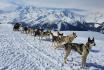 Chiens de traineau  - Avec husky pour 2 personnes 6