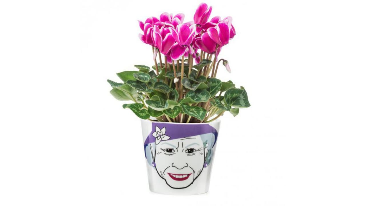 Petit Pot De Fleur La Reine D Angleterre Cadeaux24